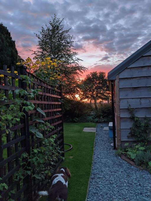 La'Al Cabin, Tiny Home, Unique Space Eden Valley Cumbria Брамптън Екстериор снимка